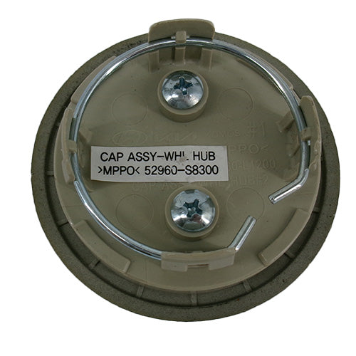 Hyundai Palisade 2023-2025 Center Cap - Centercaps.net
