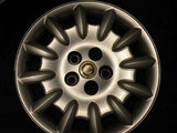 Chrysler Town and Country 2001-2002 Hubcap - Centercaps.net